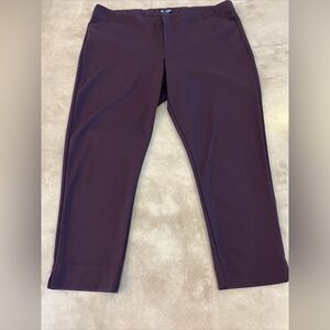 GAP Womens Pant, Plus size Size 18R, Plum,Slim fit straight Leg Ankle Length